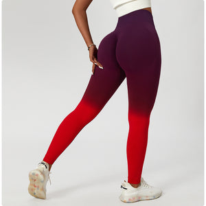 Ombre Contour Leggings - Amira Fit