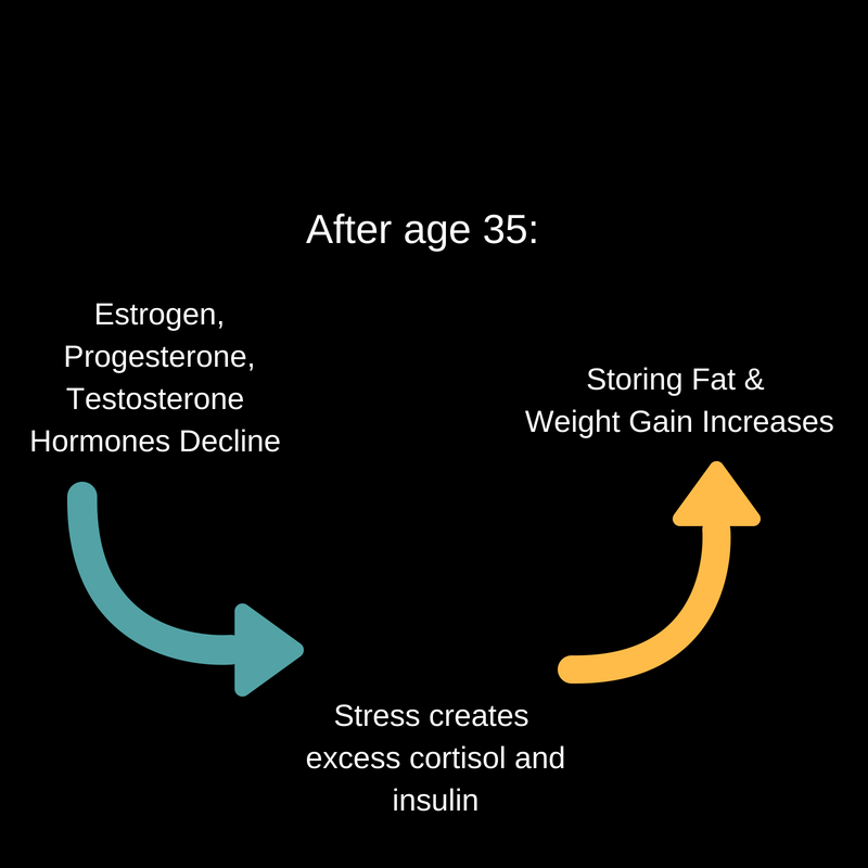 The 👑 Route to Wellness: Understanding Stress, Cortisol, and Weight Management