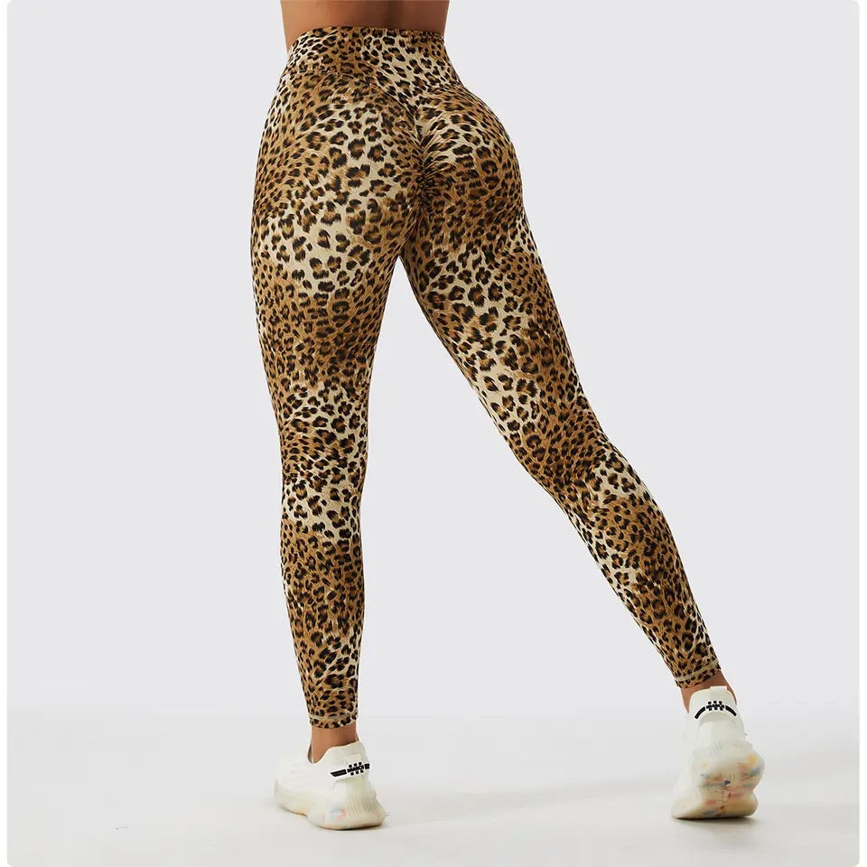 Cheetah Girl Collection - Amira Fit